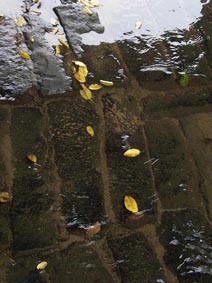 Hou Yimin's Images